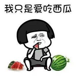 吃瓜娱乐日常,揭秘娱乐圈的日常趣味